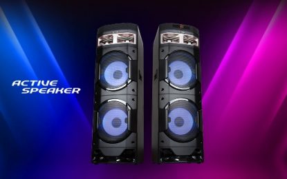 Speaker PAS 10D Series Terbaru Andalan Polytron