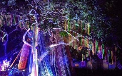 Kolaborasi Proyektor Epson dan Alam dalam Hutan Menyala