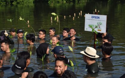 Konsisten dengan CSR,  Epson Indonesia  Lanjutkan Penghijauan dengan Tanam 6000 Pohon dan Rehabilitasi Mangrove