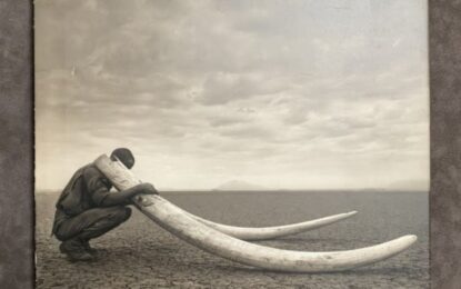 Across the Ravaged Land by Nick Brandt