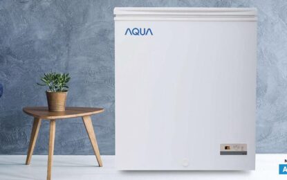 Beragam Manfaat Turbo Fan Dalam Chest Freezer