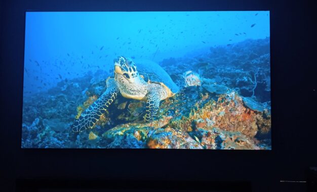 Layar Portabel Motorized Any-Linx 120 inch Sajikan Fleksibilitas Portabel dan Performa Optik Yang Apik