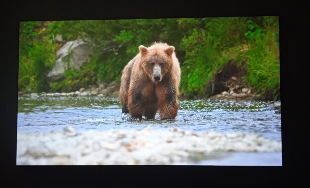 Sensasi Layar  ANY-LINX  Soft White 150” untuk Pengalaman Home Theater Maksimal